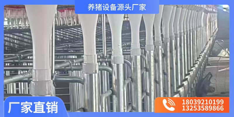 天津市猪场料塔猪场产床 - 一站式服务